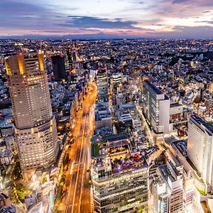 Hotel Cerulean Tower Tokyu Hotel, A Pan Pacific Partner Tokio